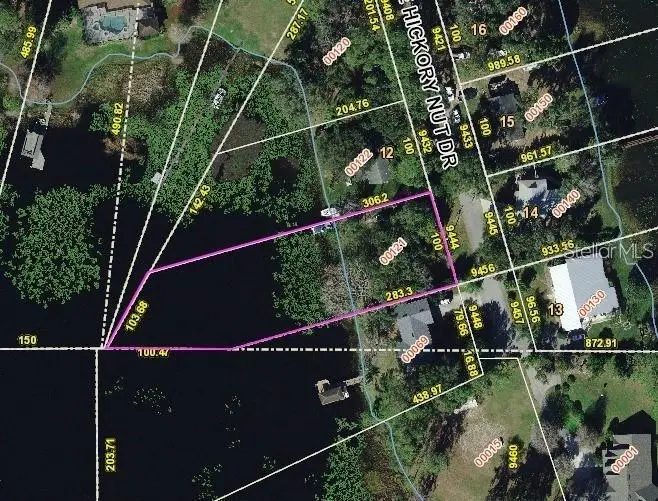 9444 Lake Hickory Nut Drive, FL
