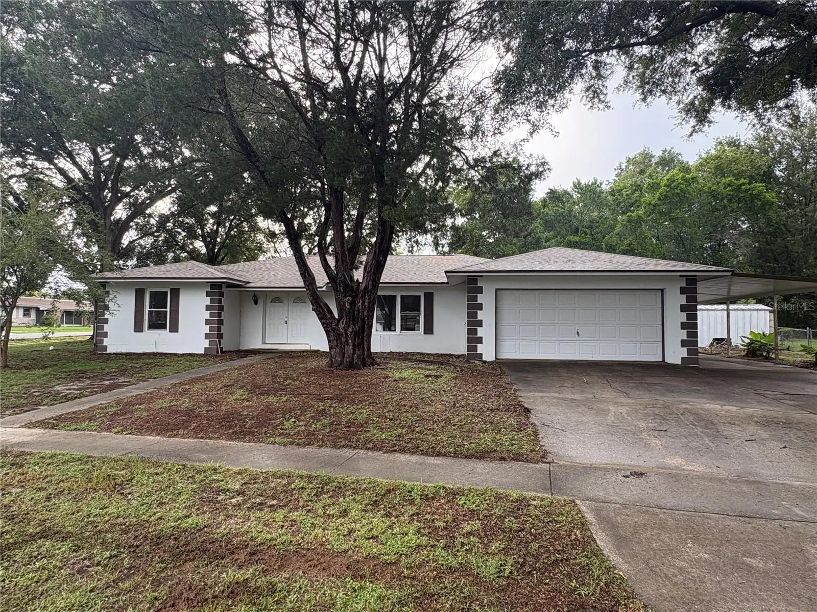 9202 Abbot Drive, FL