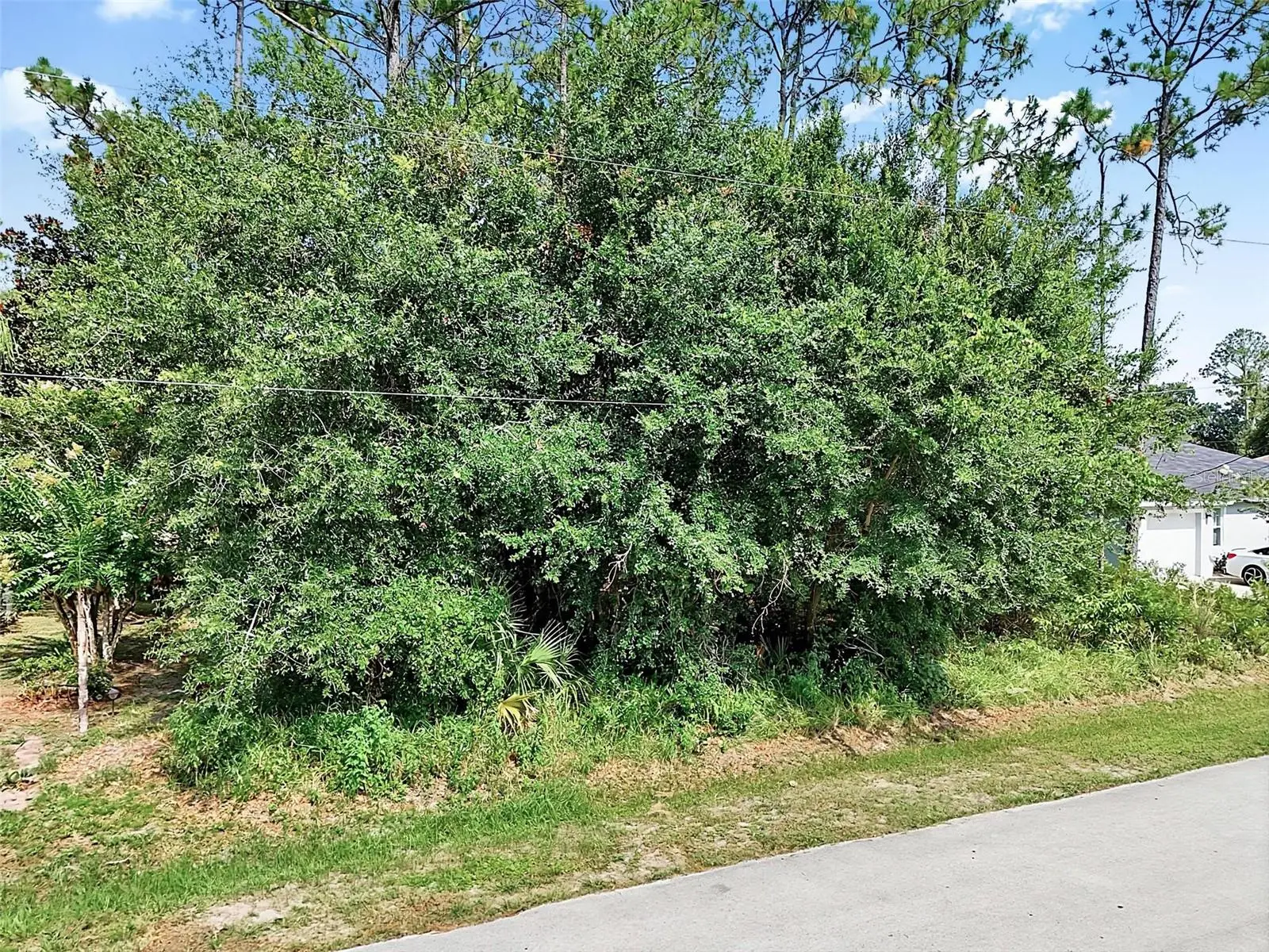 30 Wellwood Lane, FL