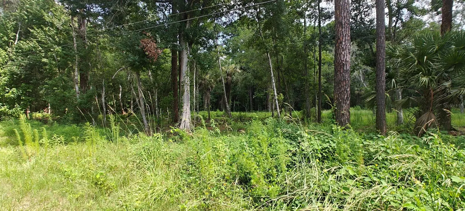 8401 Amelia Trail, FL