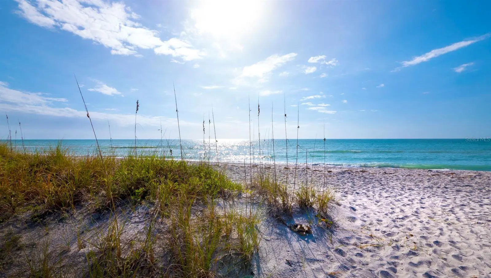1906 Harbourside Drive, FL