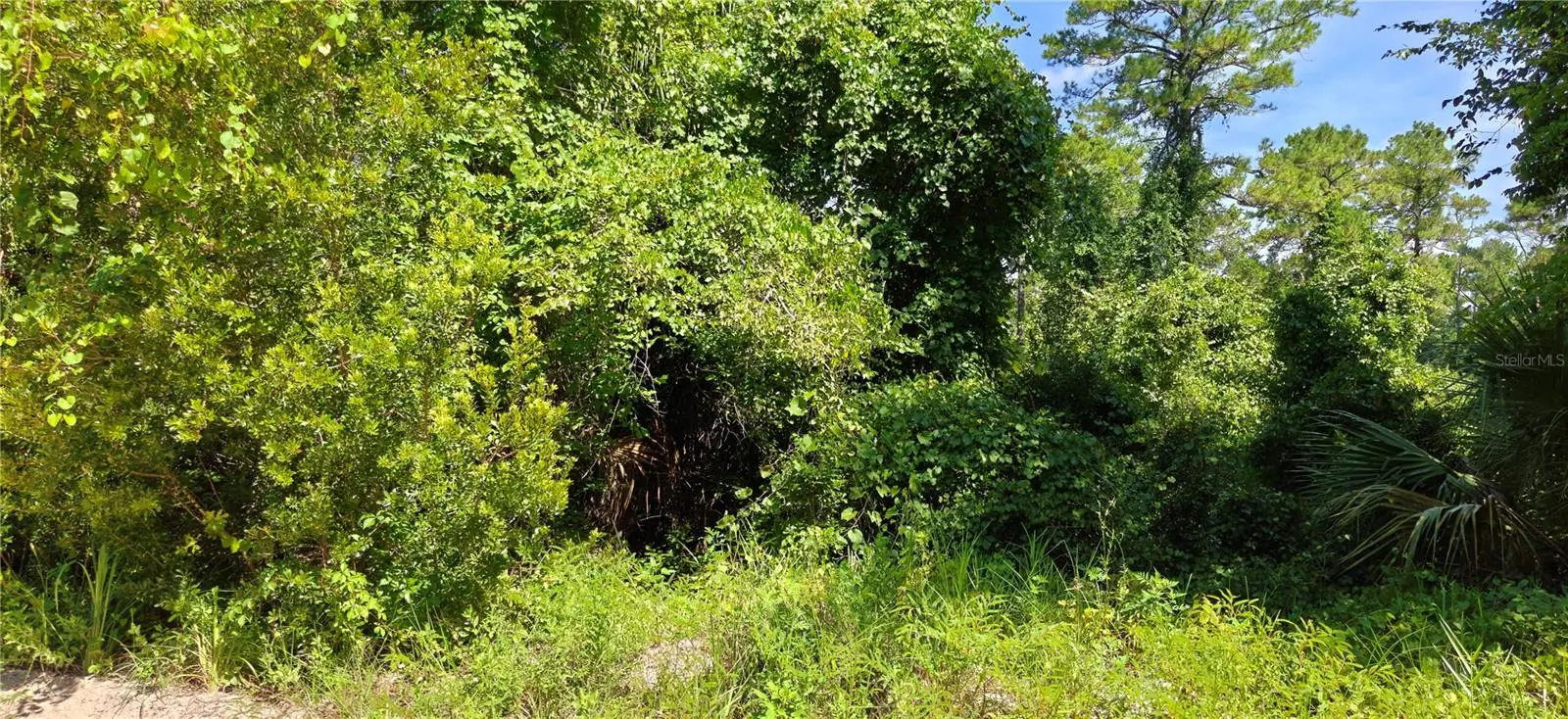 212 2nd Avenue, FL