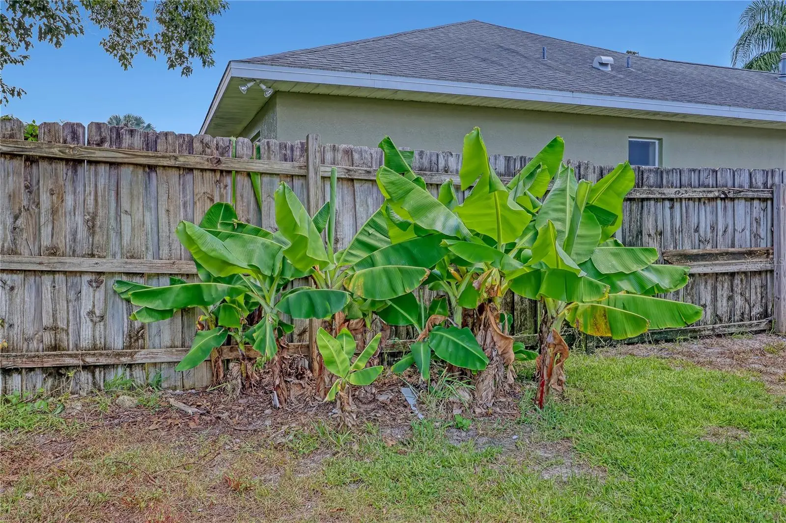 4373 Fletcher Lane, FL