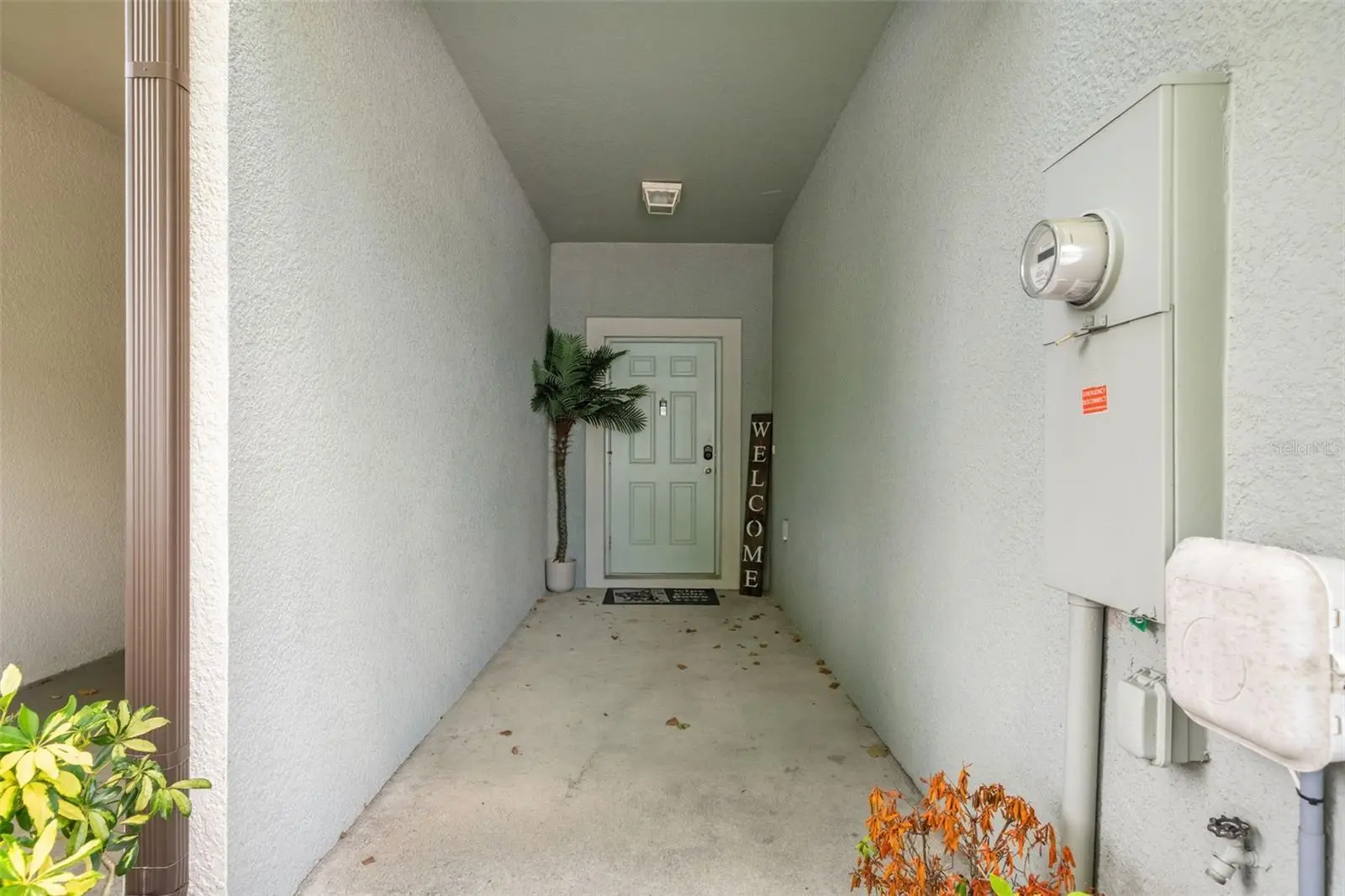 7627 French Marigold Avenue, FL