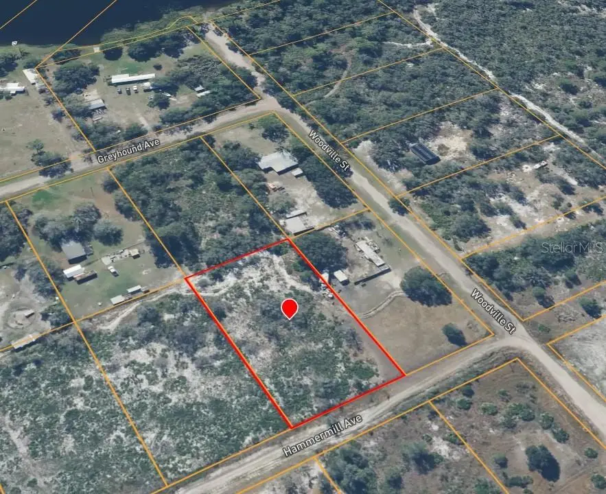 Hammermill Avenue, FL