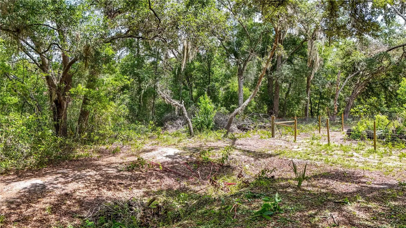24307 Adair Avenue, FL