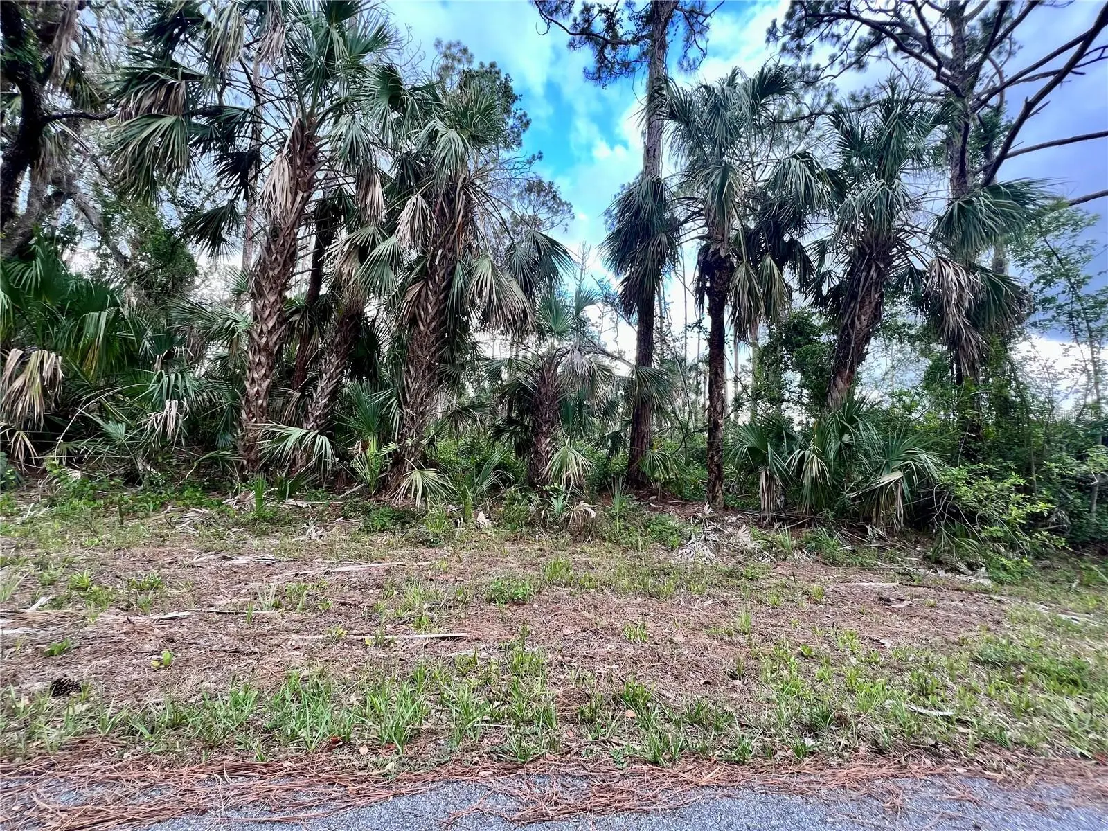 13475 Ketridge Avenue, FL