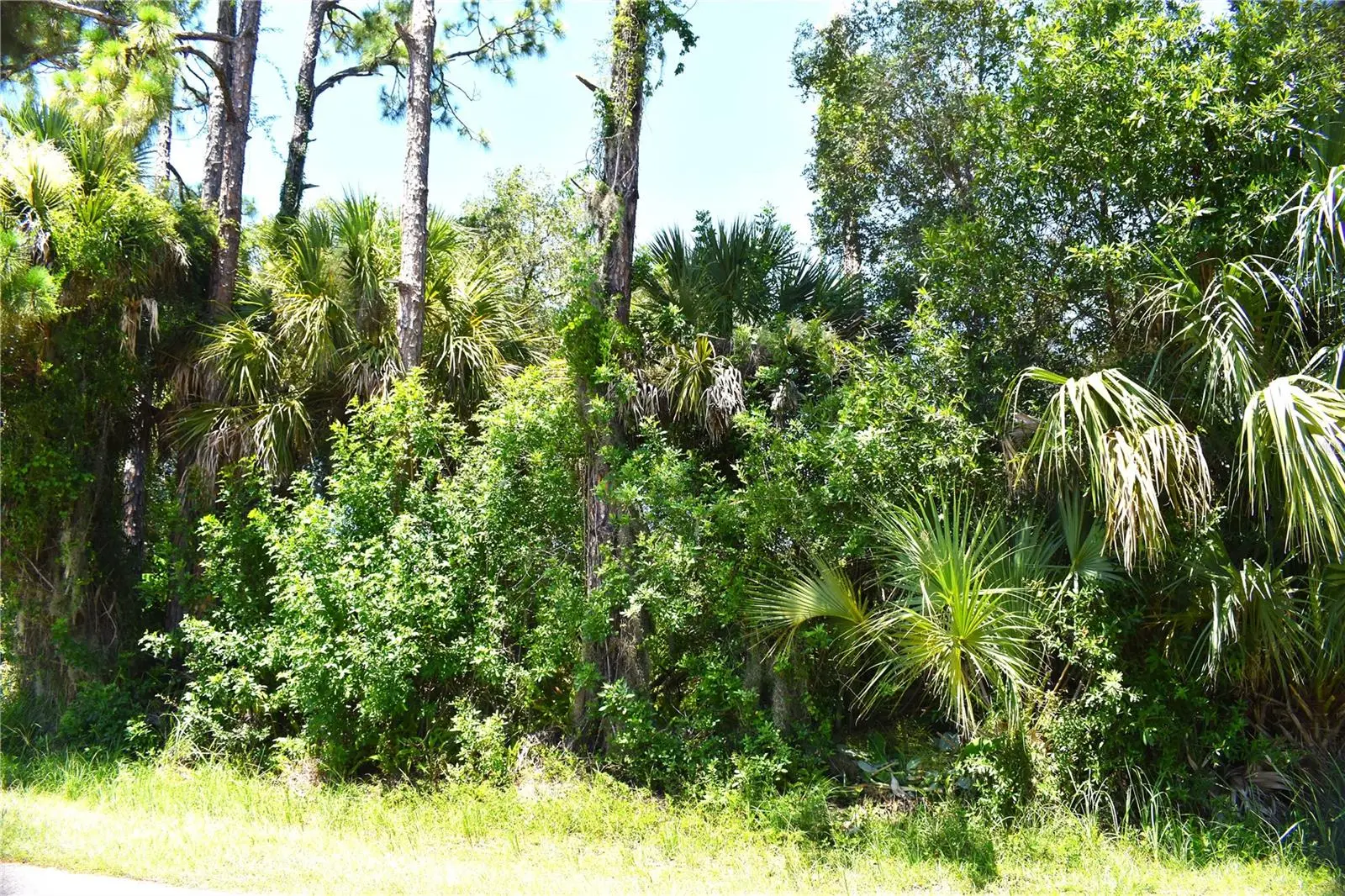 Mctague Street, FL