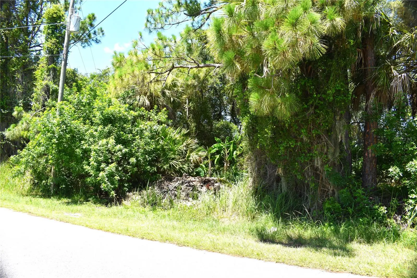 Mctague Street, FL