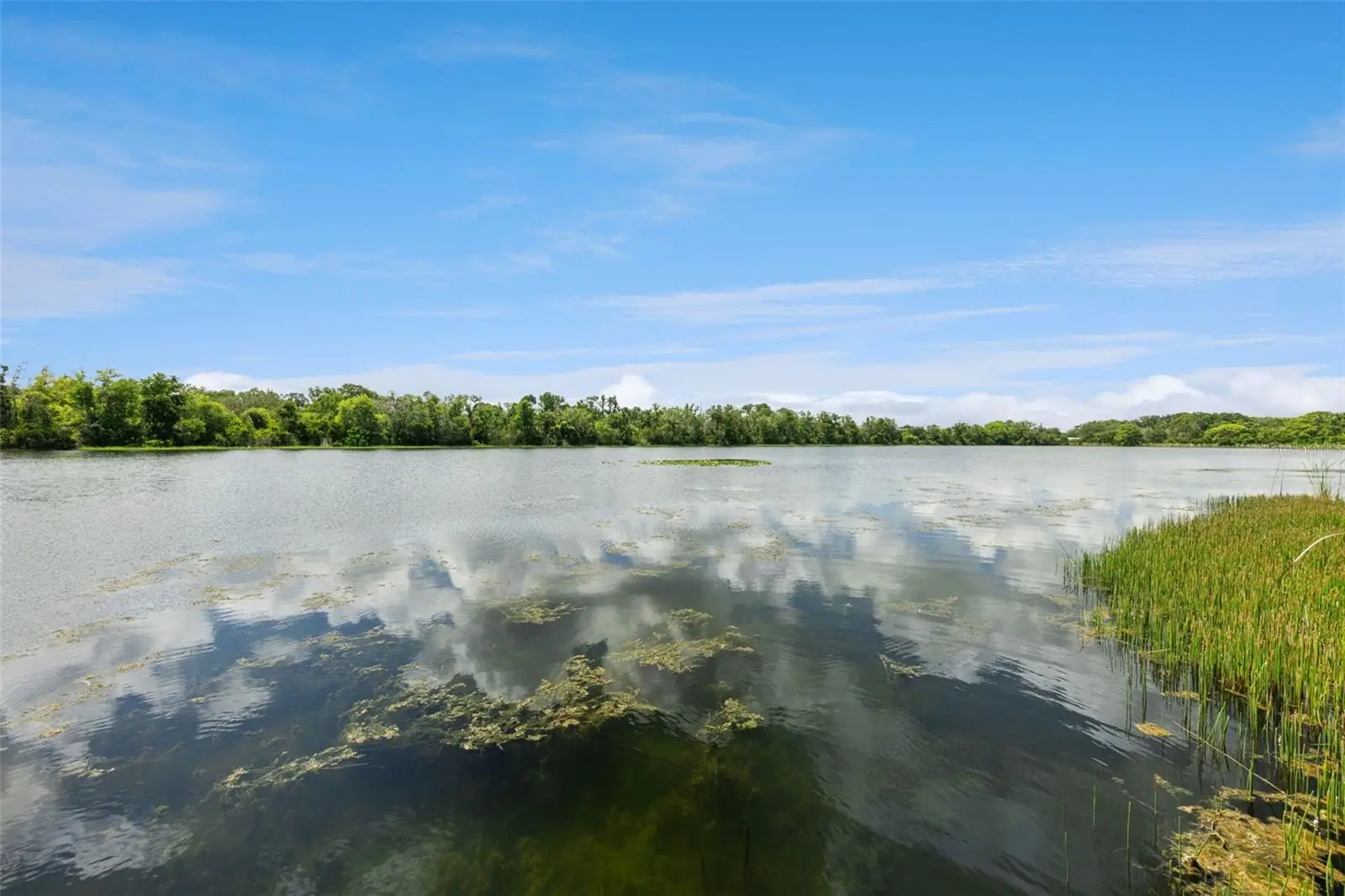 653 Lake Mobile Drive, FL