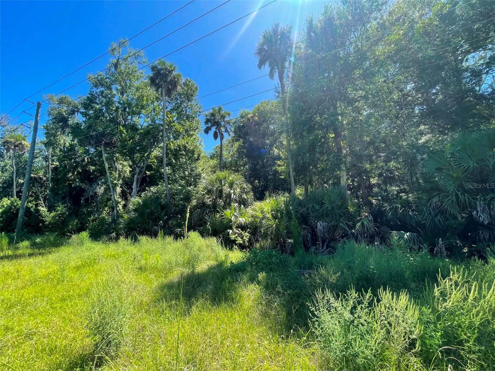 Old Mission Road, FL