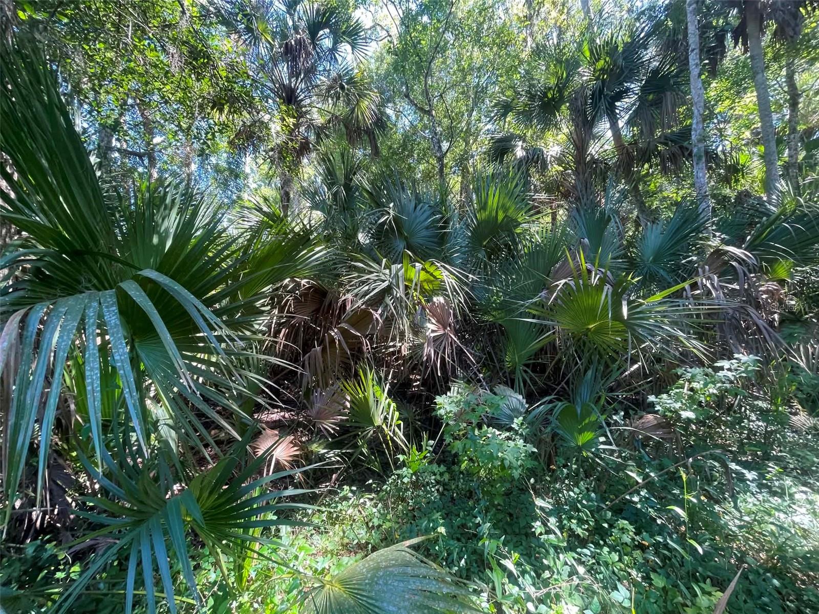 Old Mission Road, FL