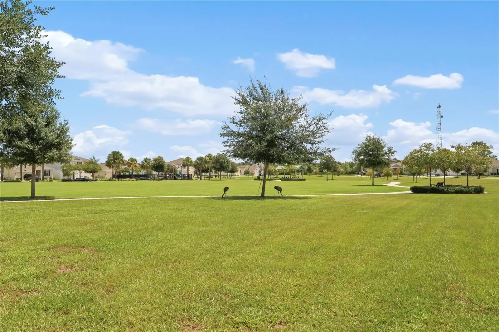33571 Sky Blossom Circle, FL