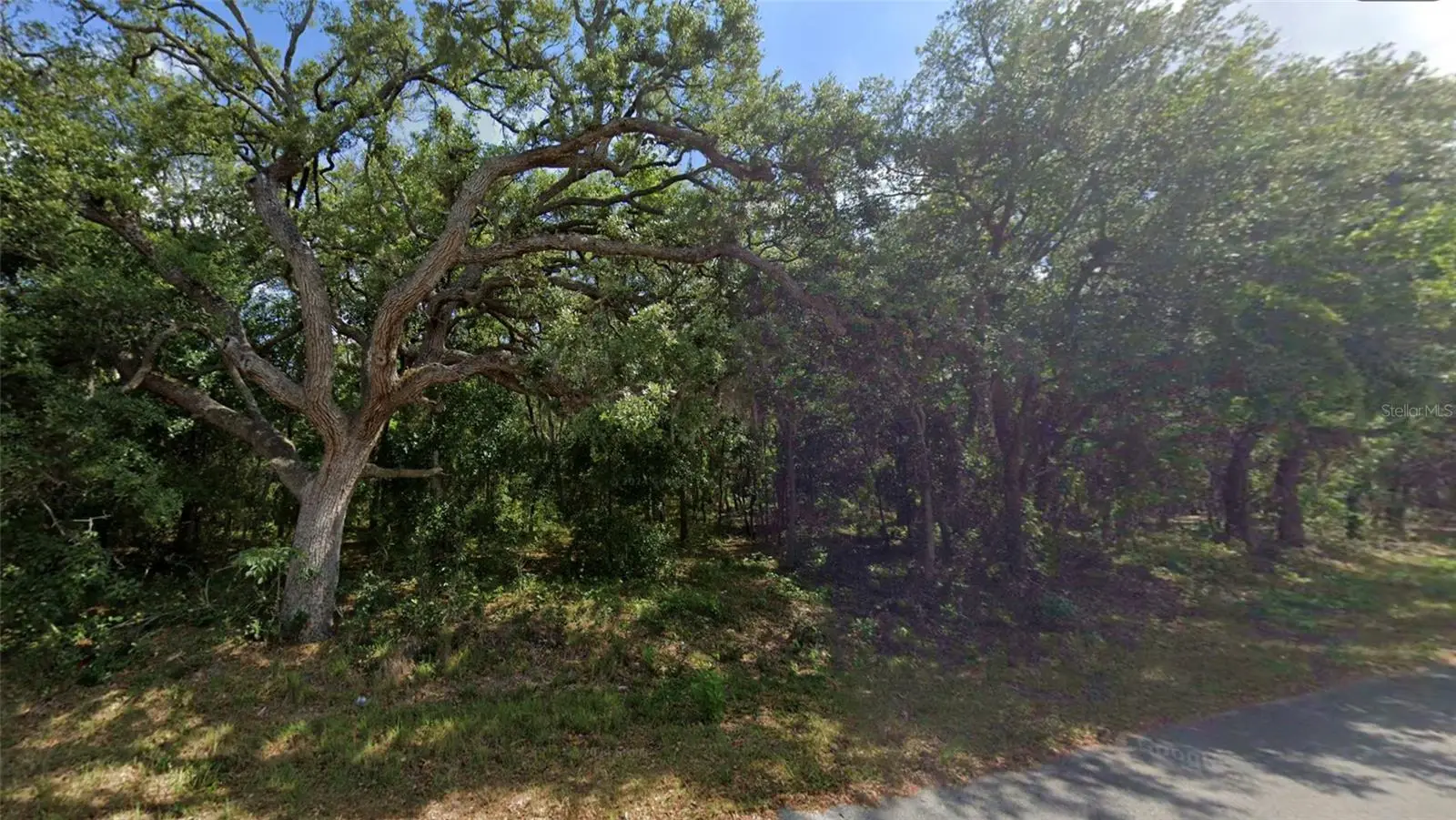 0 Todd Trail, FL