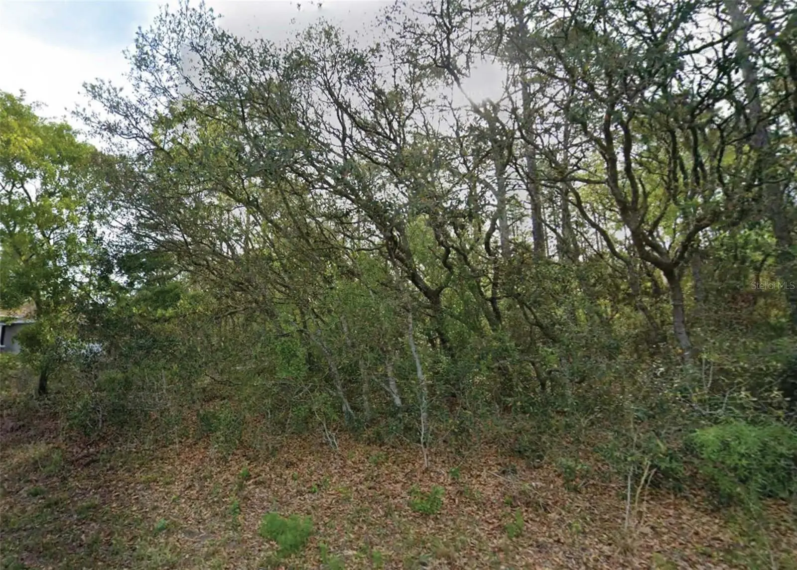 7759 Maltese Drive, FL