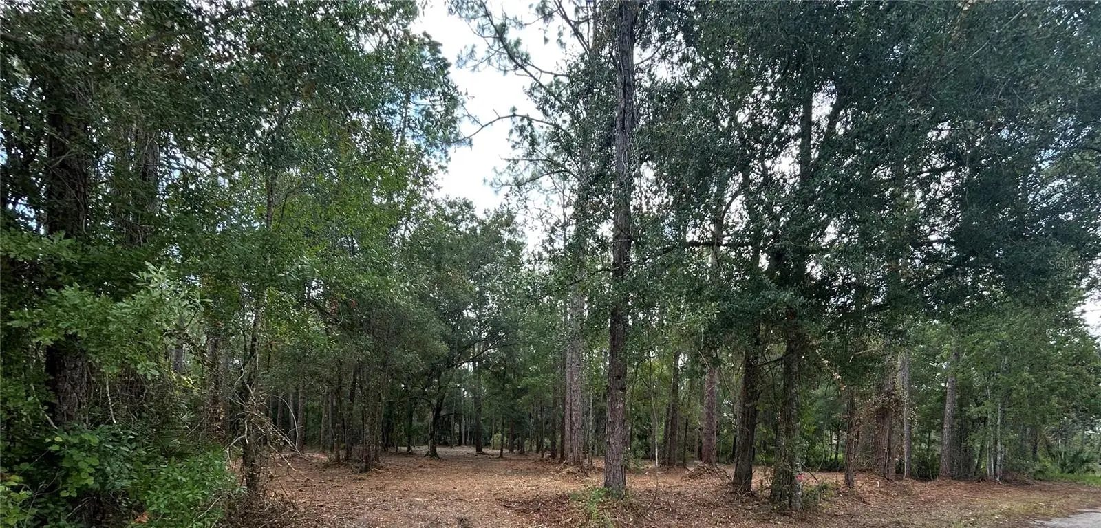 Westpoint Drive, FL
