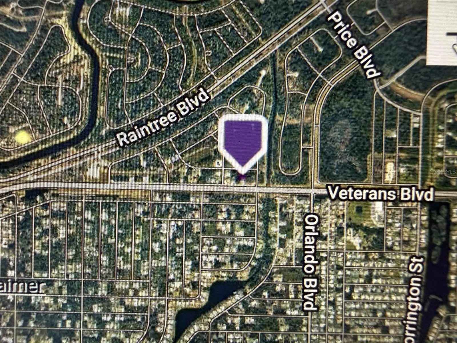 Dellbrook Avenue, FL