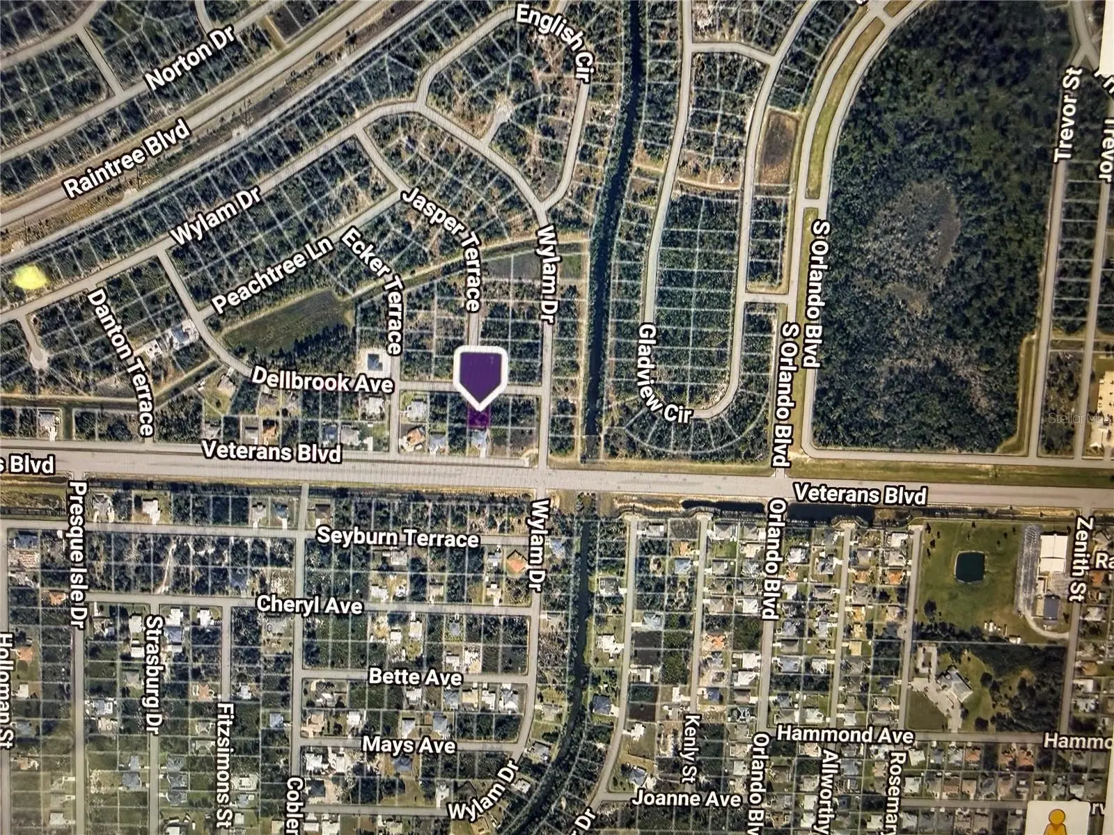 Dellbrook Avenue, FL