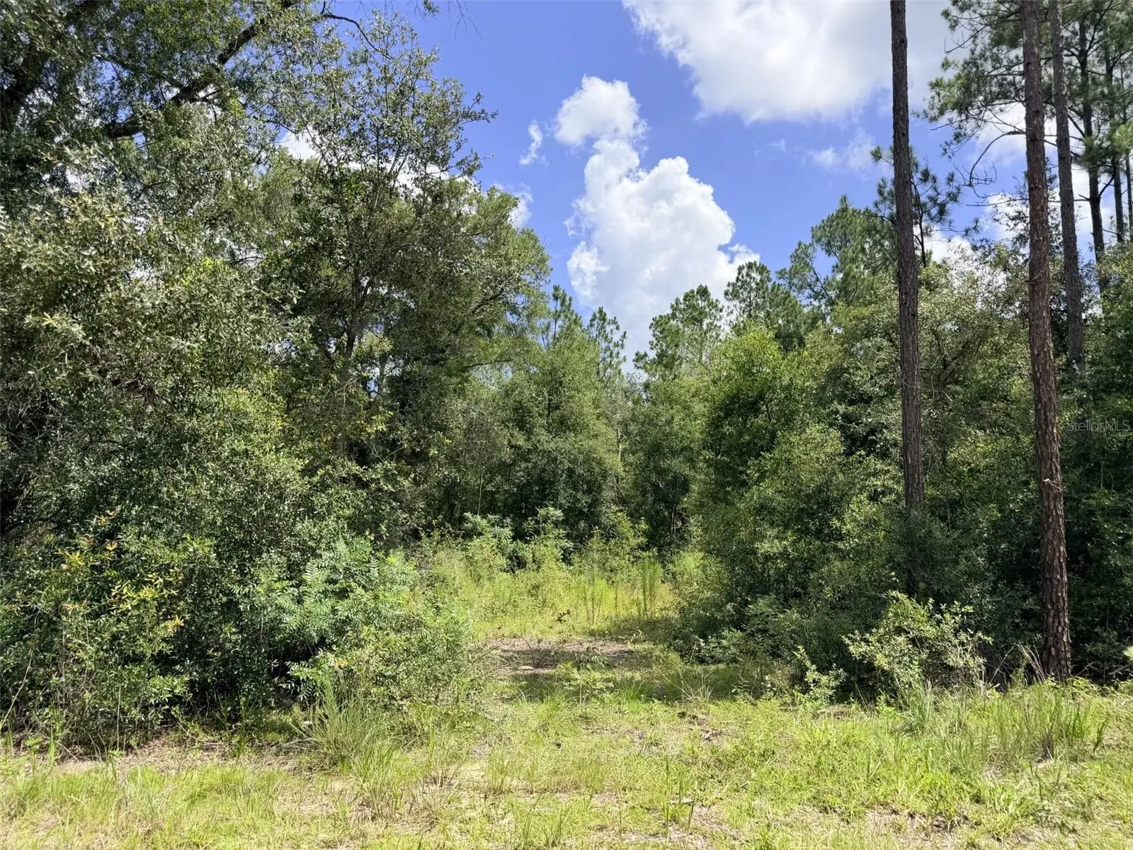 0 77 Place, FL