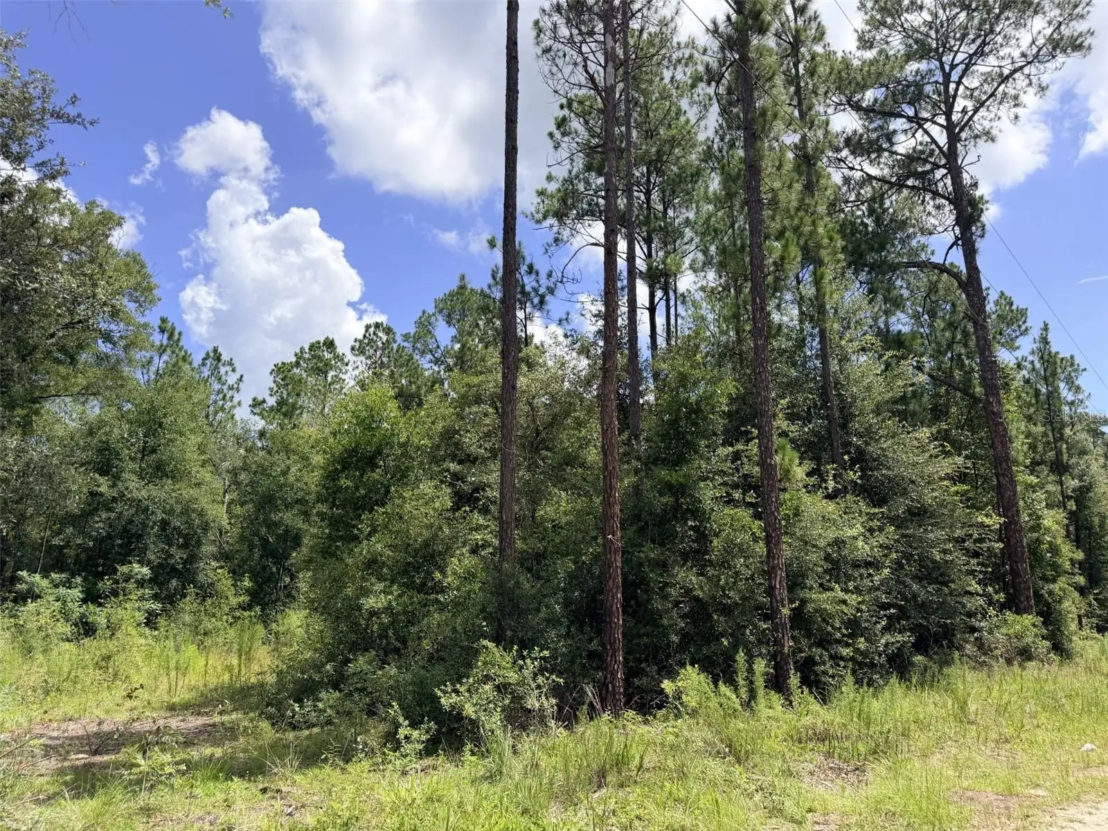 0 77 Place, FL