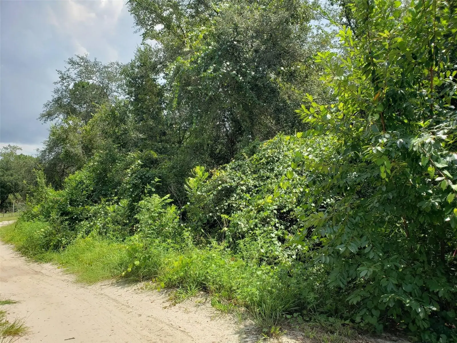Pine Valley Drive, FL