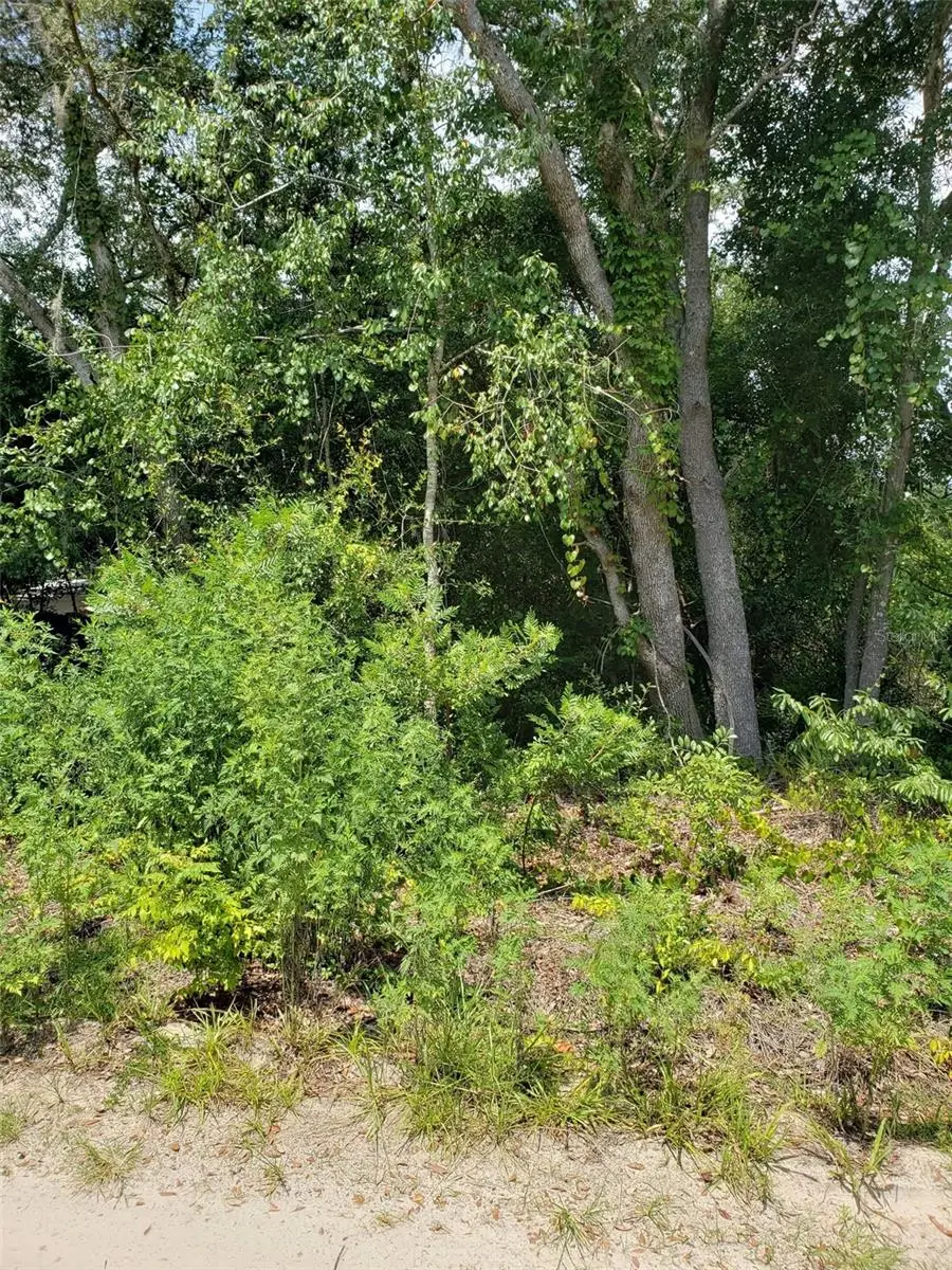 Pine Valley Drive, FL