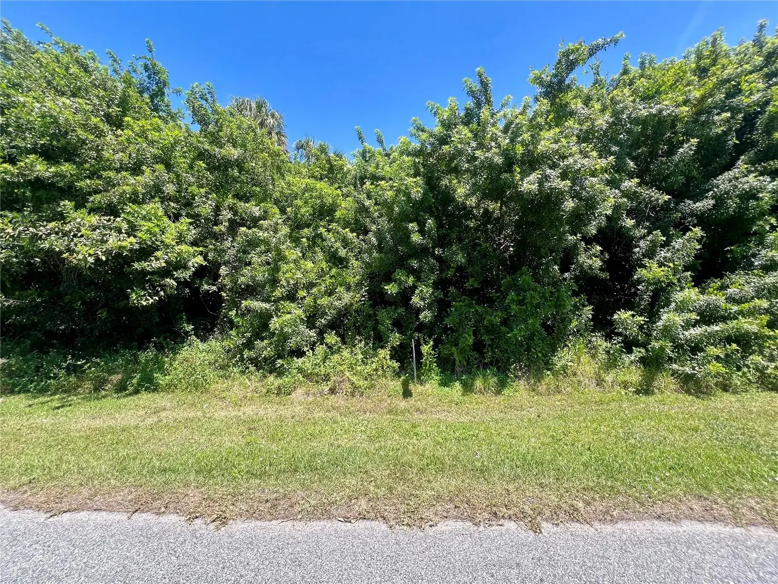 48 Ramblewood Street, FL
