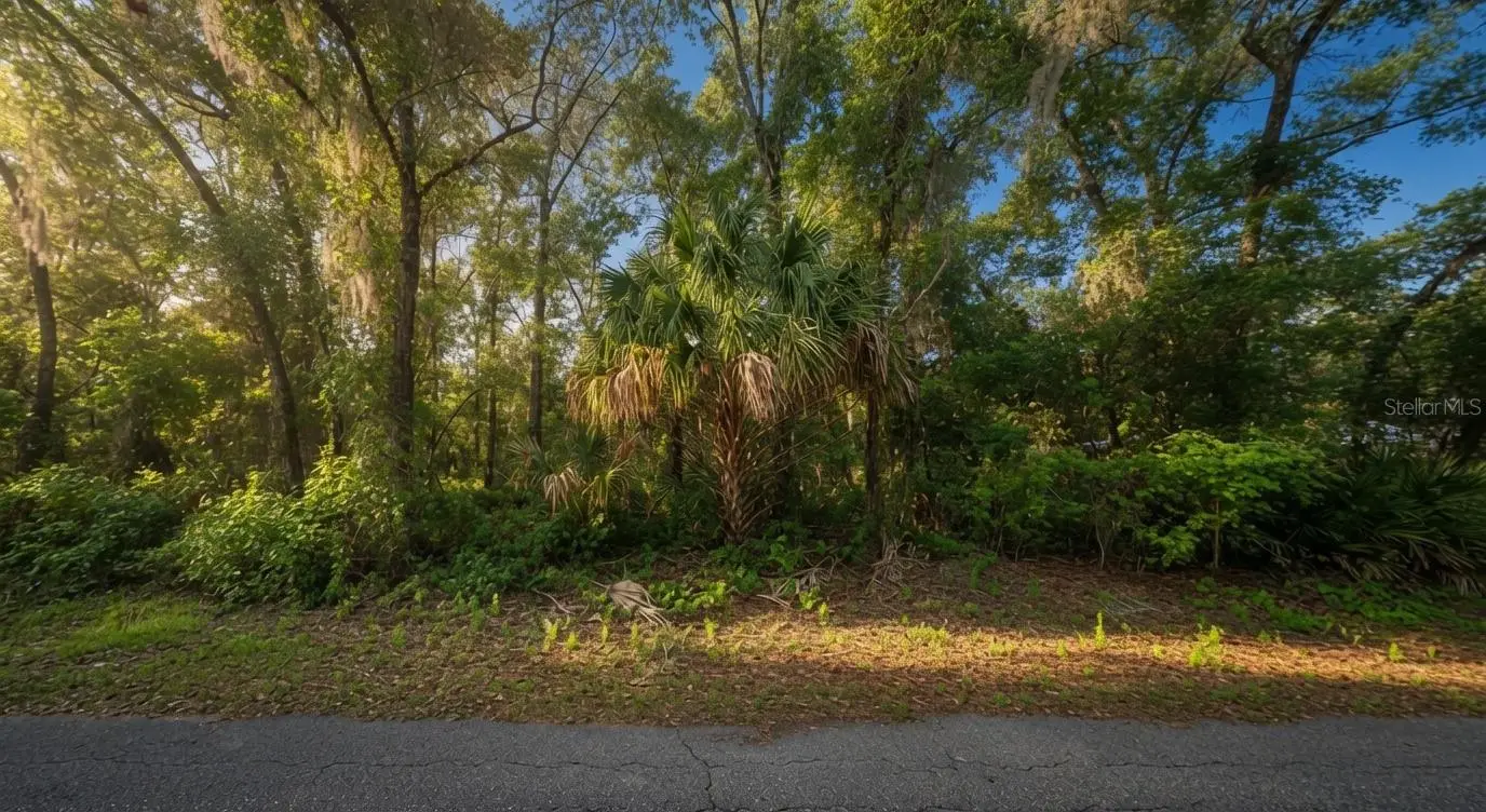 282 Savary Avenue, FL