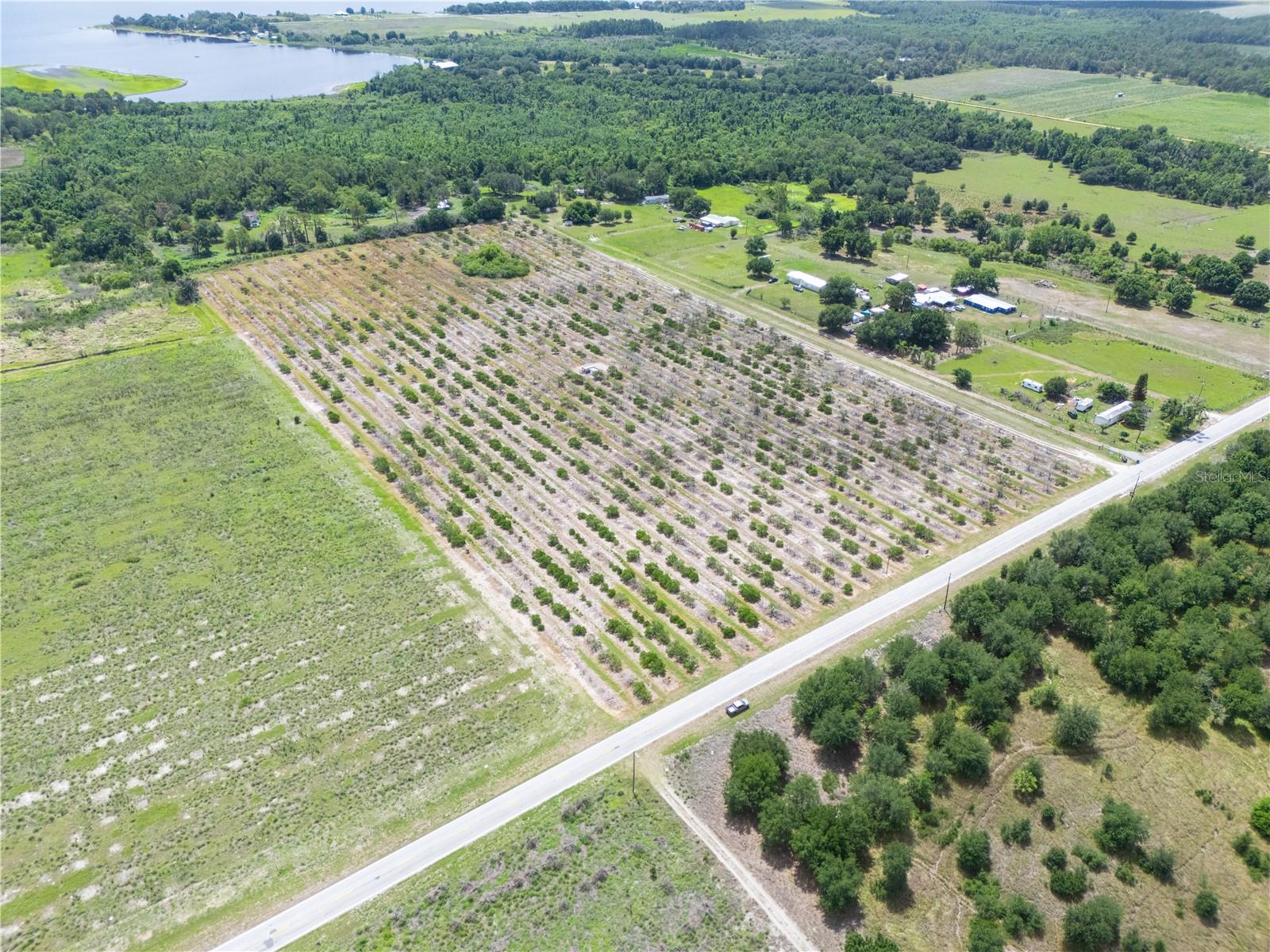 Lake Buffum Road, FL