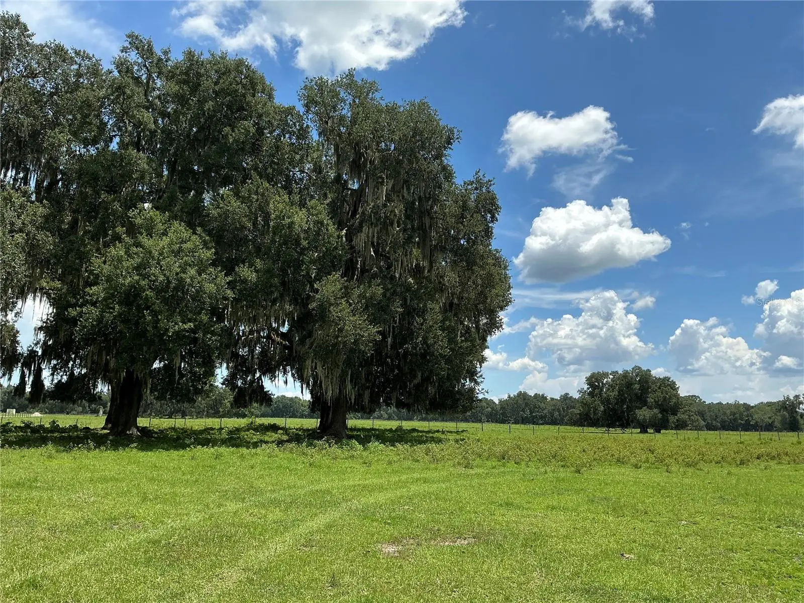 Cr 755, FL