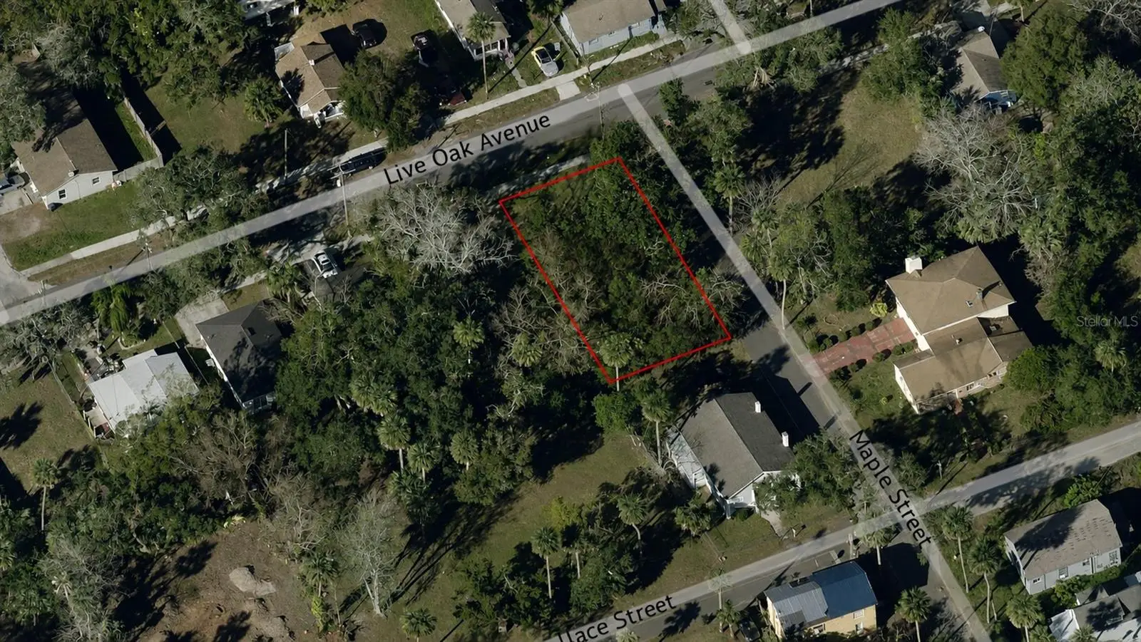 547 Live Oak Avenue, FL