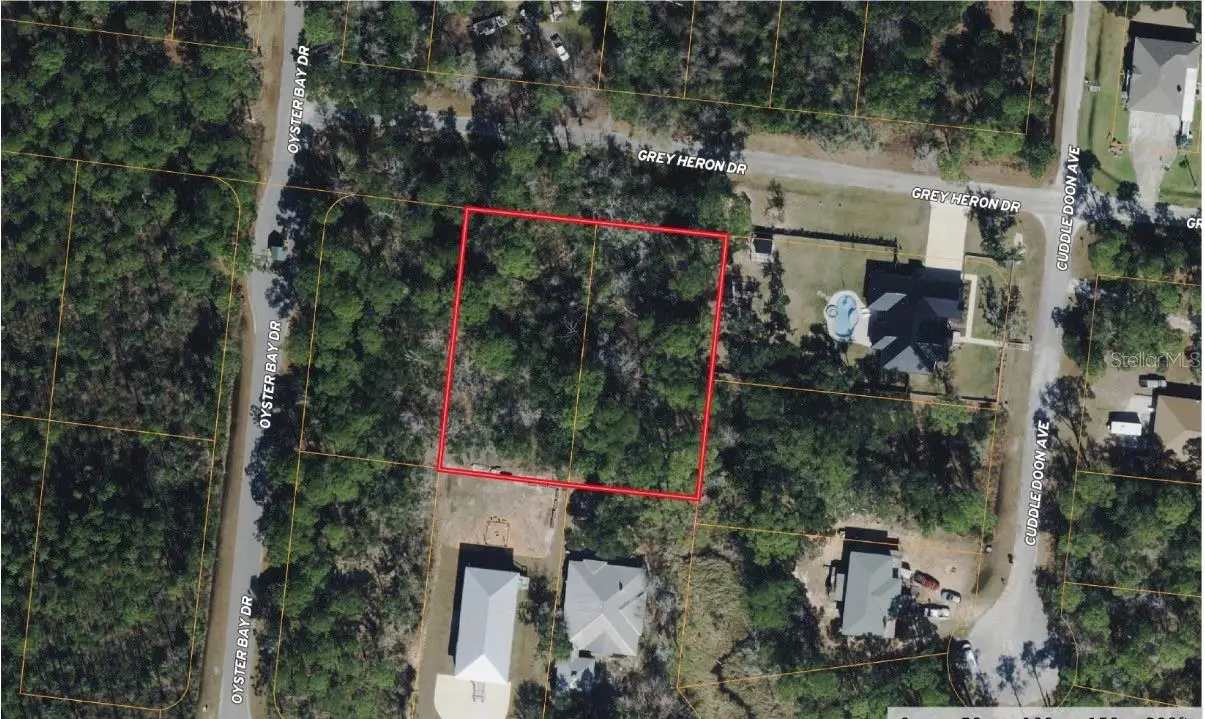 6339 Grey Heron Drive, FL