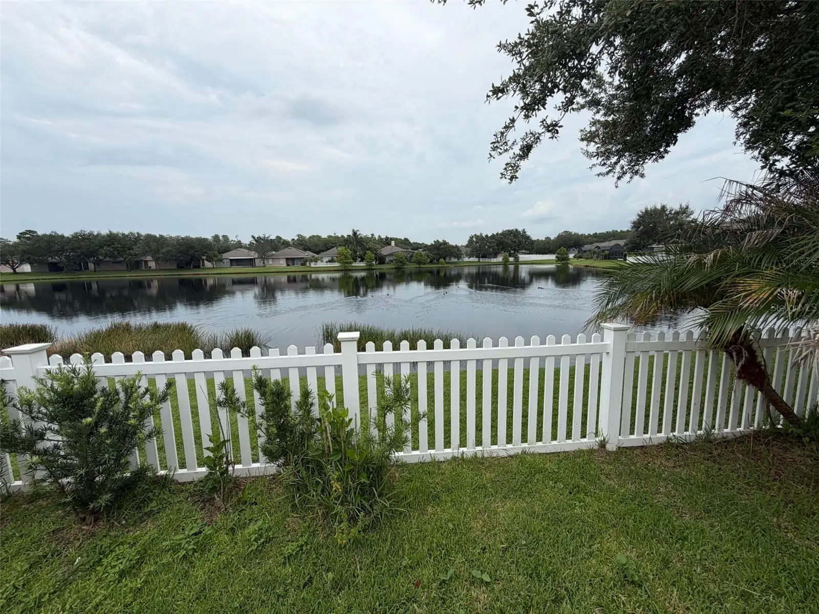 2445 Cypress Trace Circle, FL