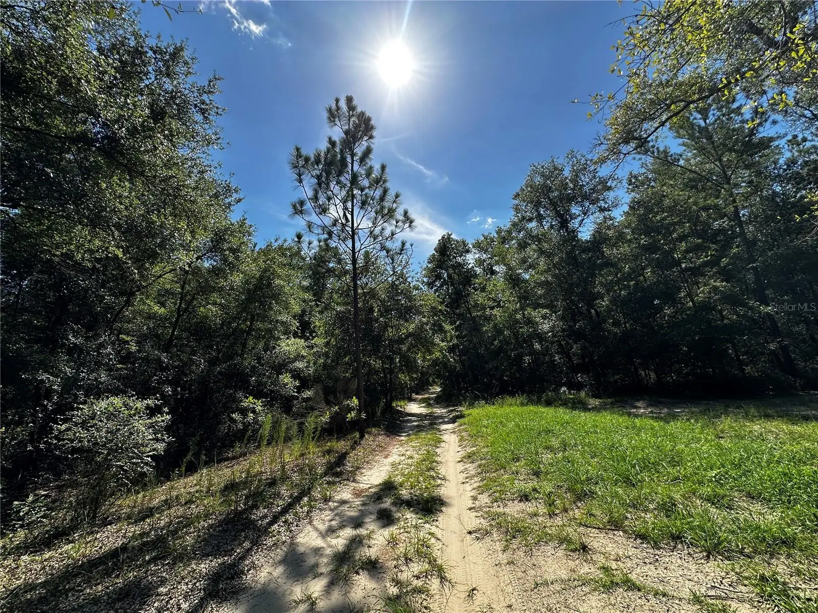 Tbd 81st Street, FL