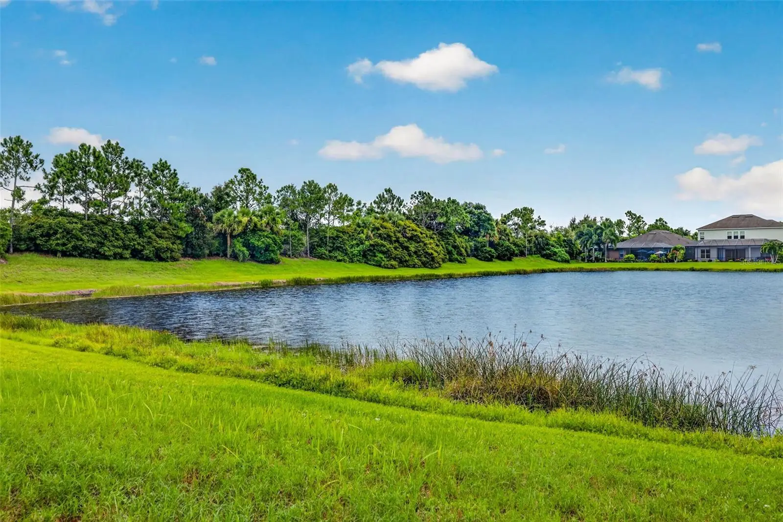 5934 Anise Drive, FL