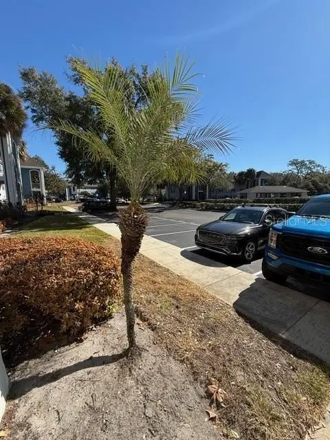 1203 Clubside Drive, FL