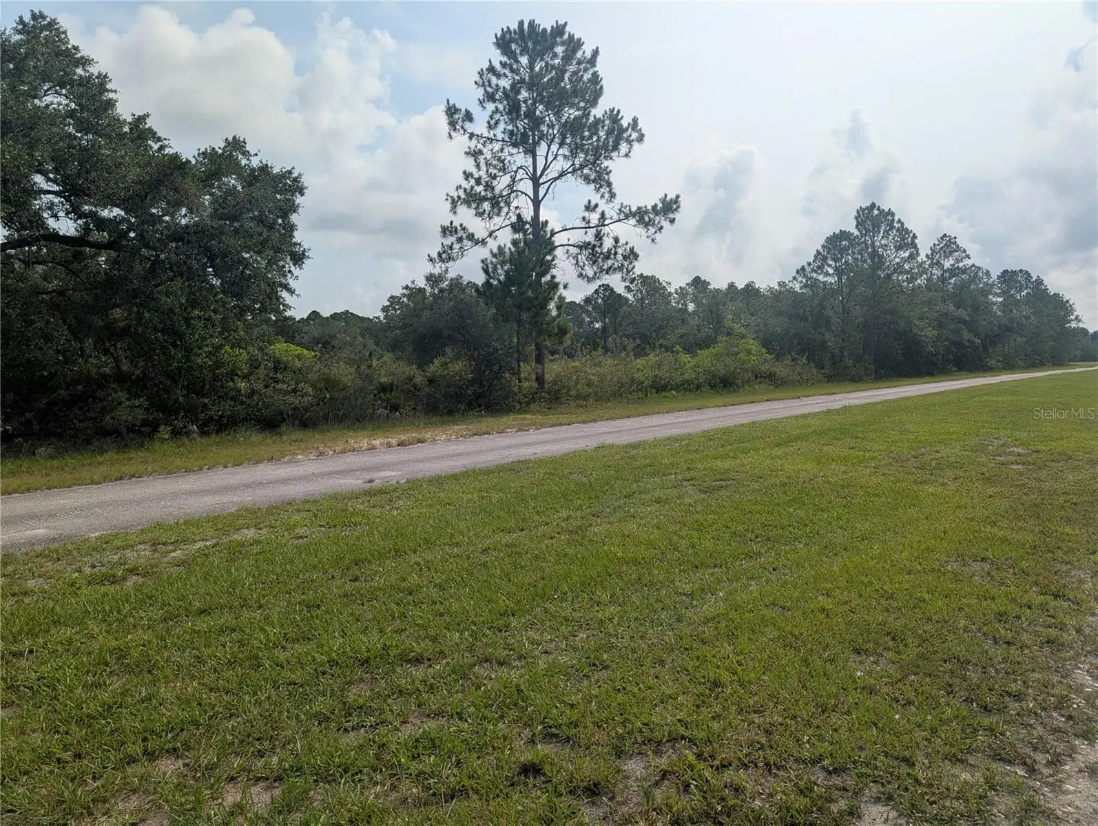 810 Palm Avenue, FL