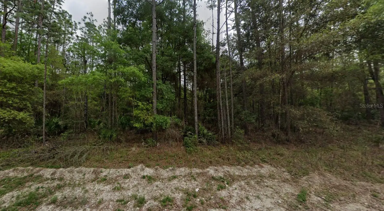 821st Street, FL