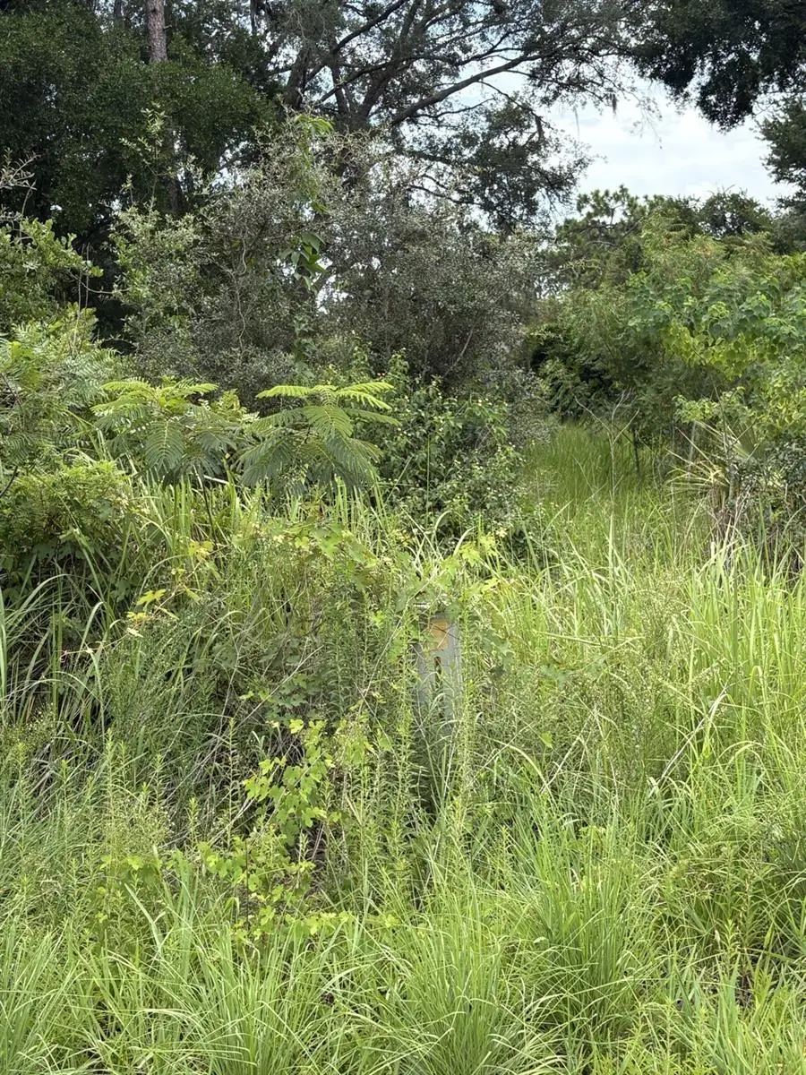 Oak Pass Run, FL