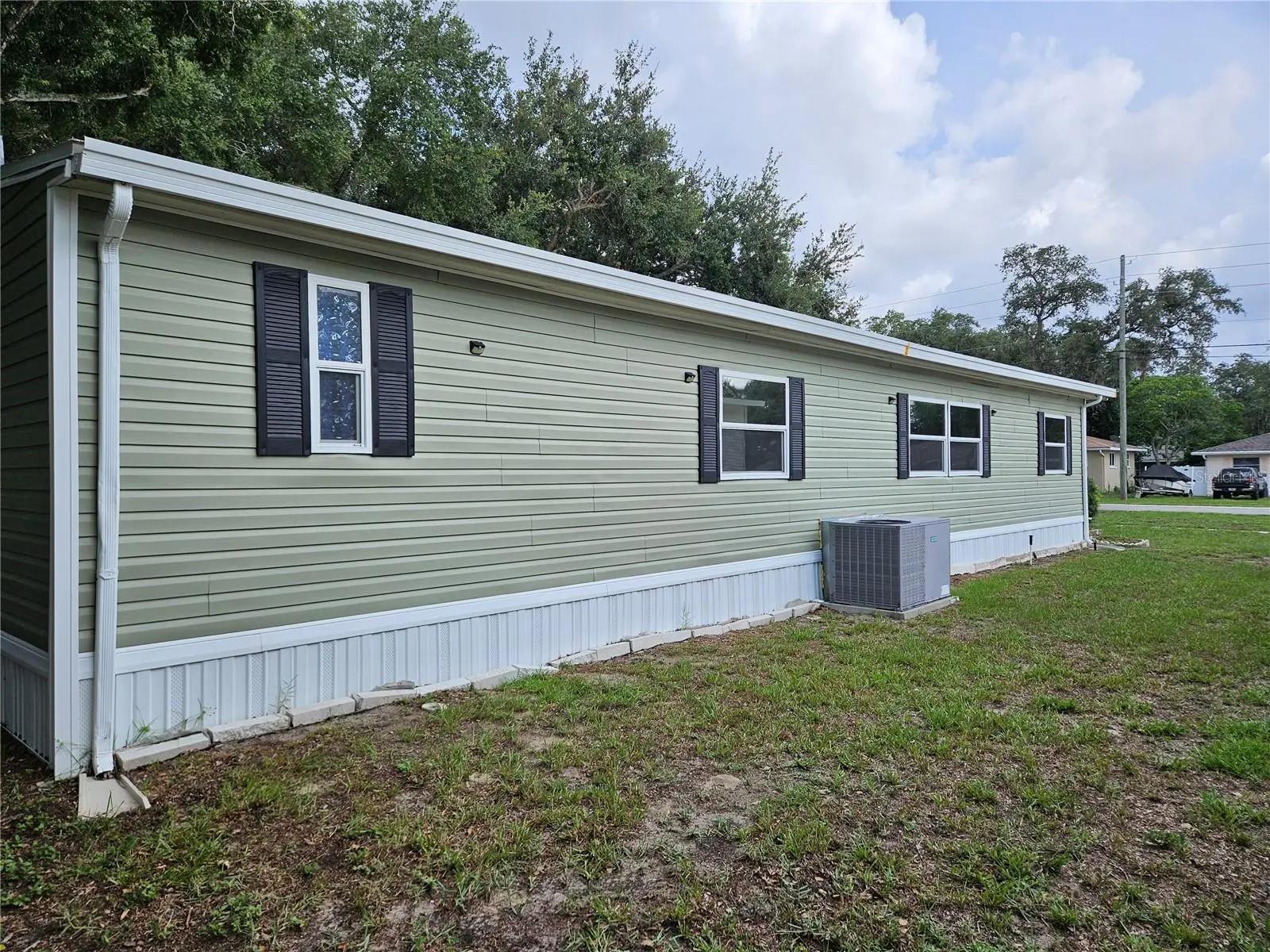 217 Lake Tarpon Drive, FL
