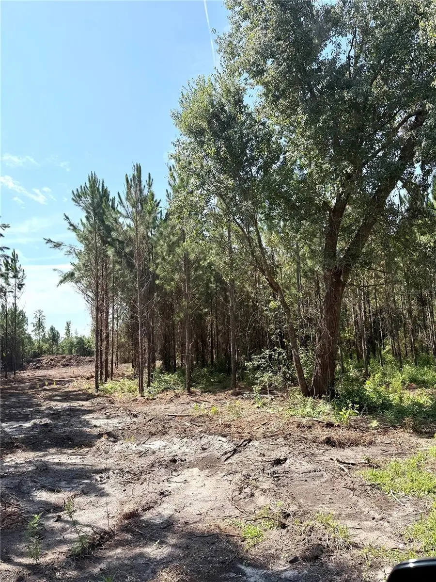 Arnold Rhoden Rd, FL