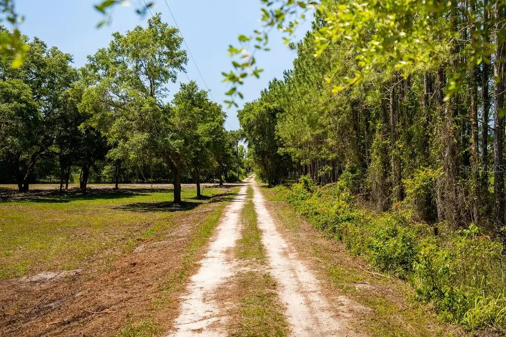 0 Miller Road, FL