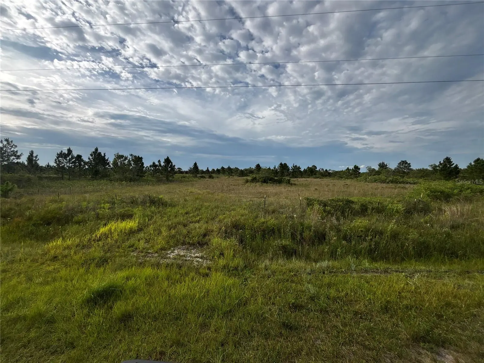 14819 274th Street, FL