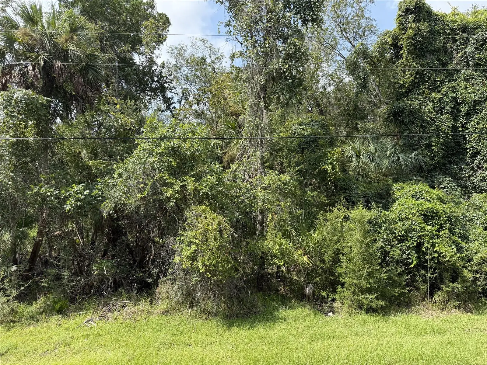 10991 London Lane, FL