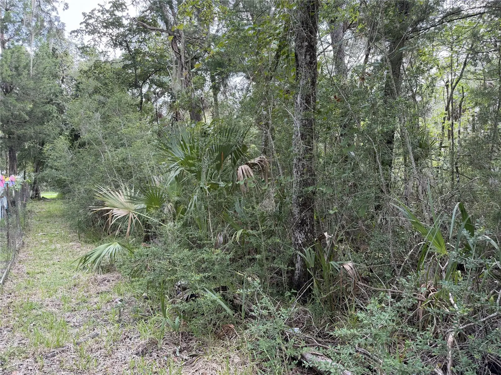 10991 London Lane, FL
