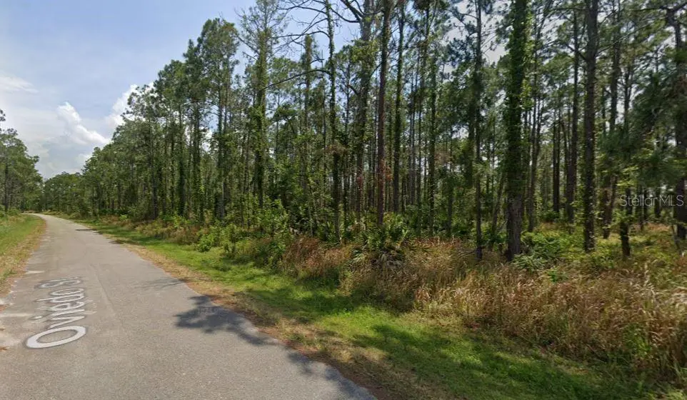 8931 Oviedo Street, FL