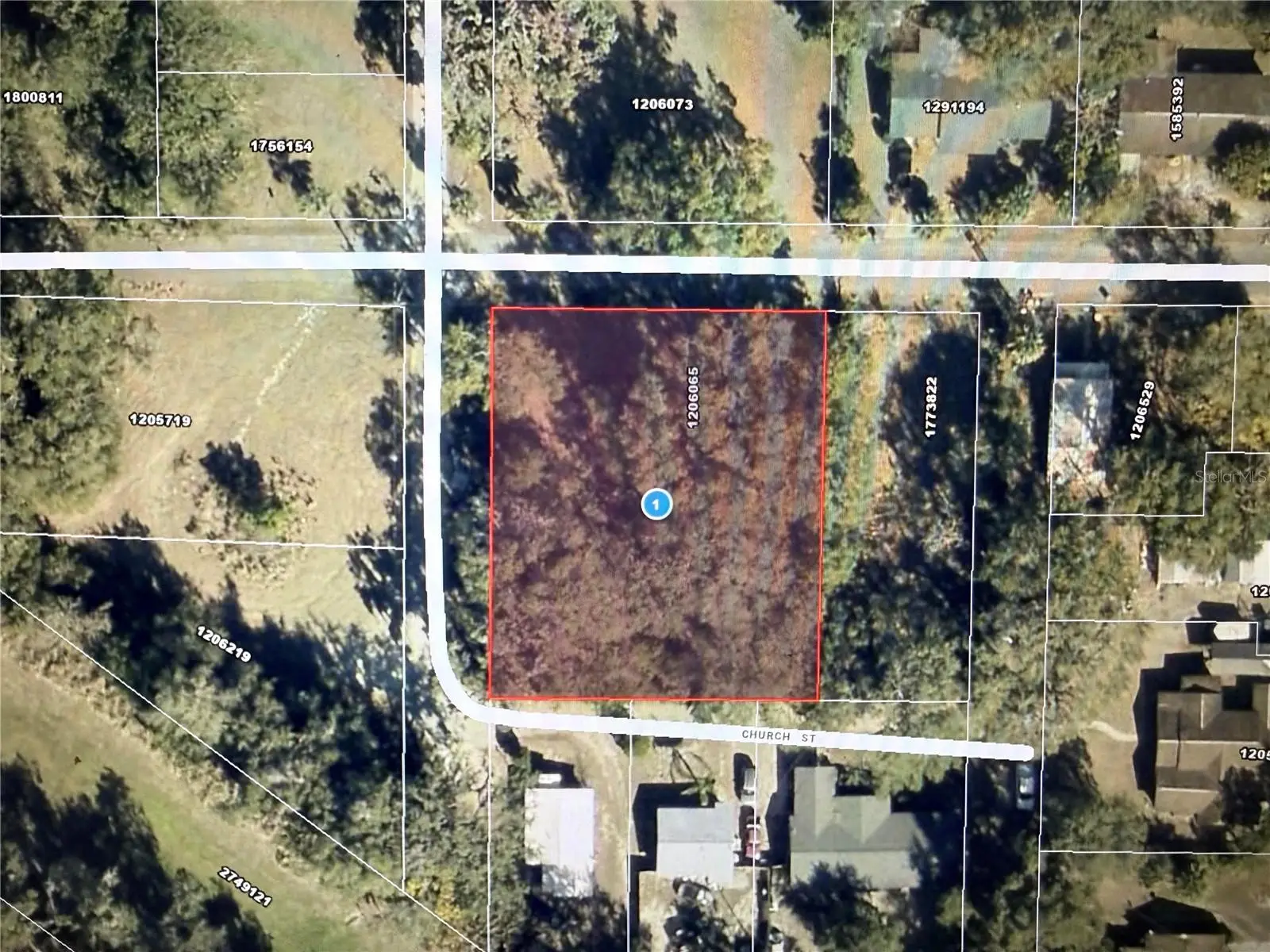 1101 Magnolia Street, FL