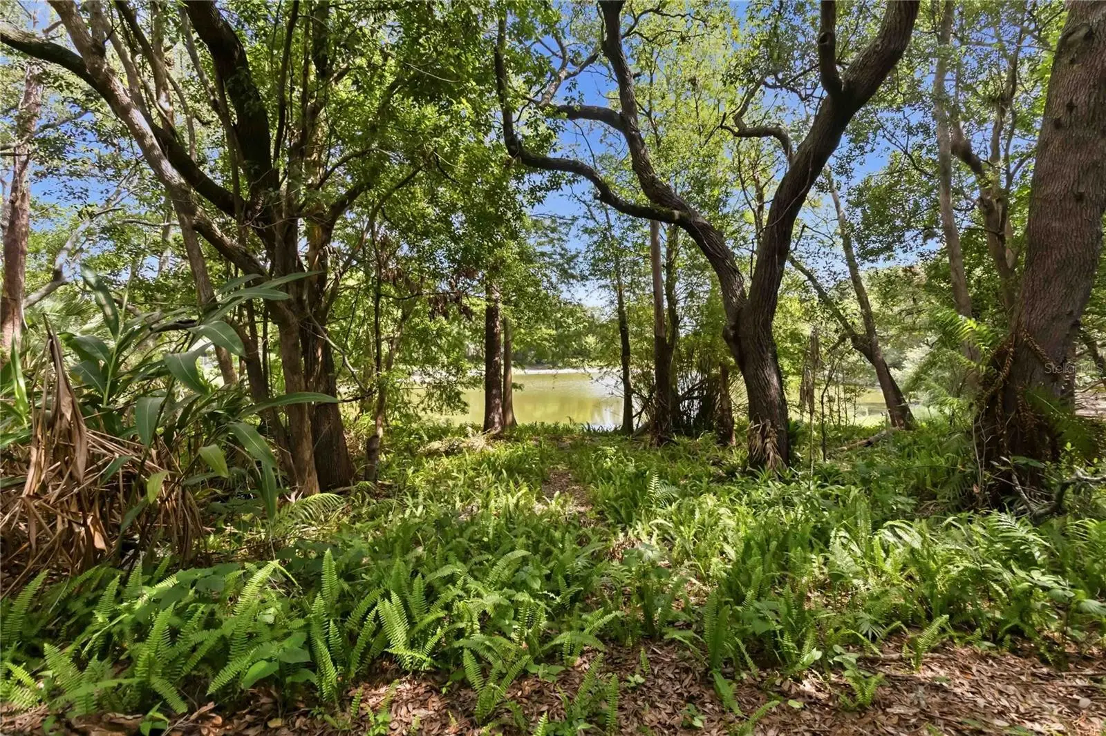 4008 Maryland Place, FL