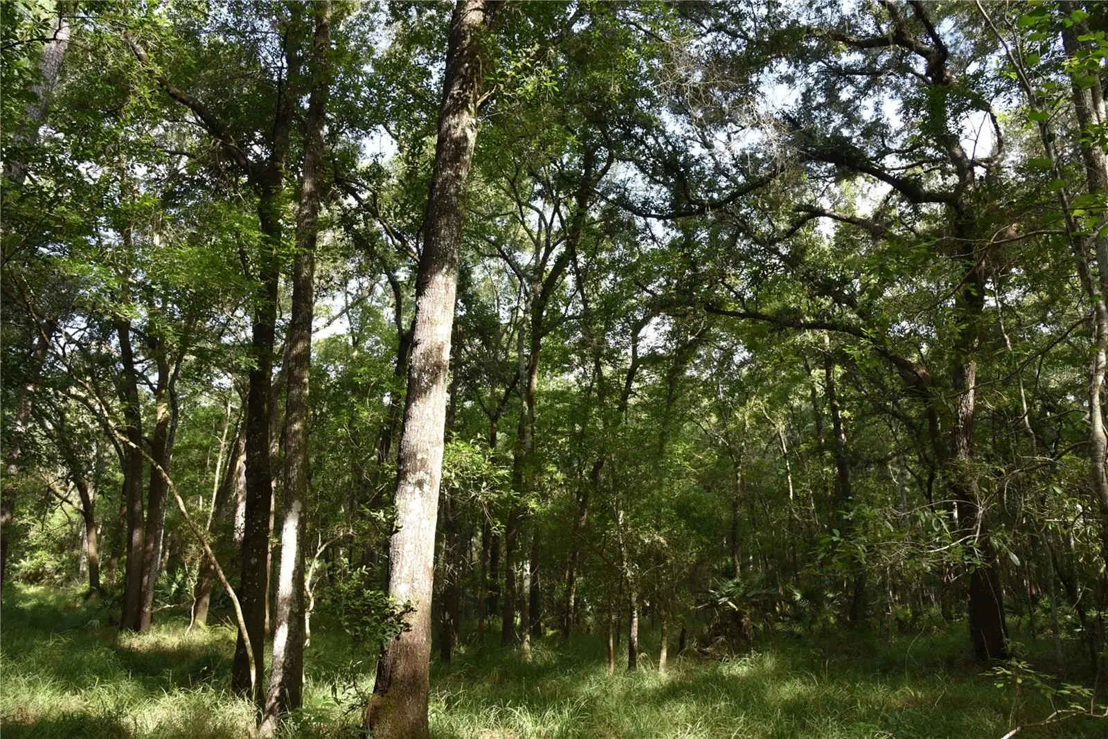 375 Buck Springs Road, FL
