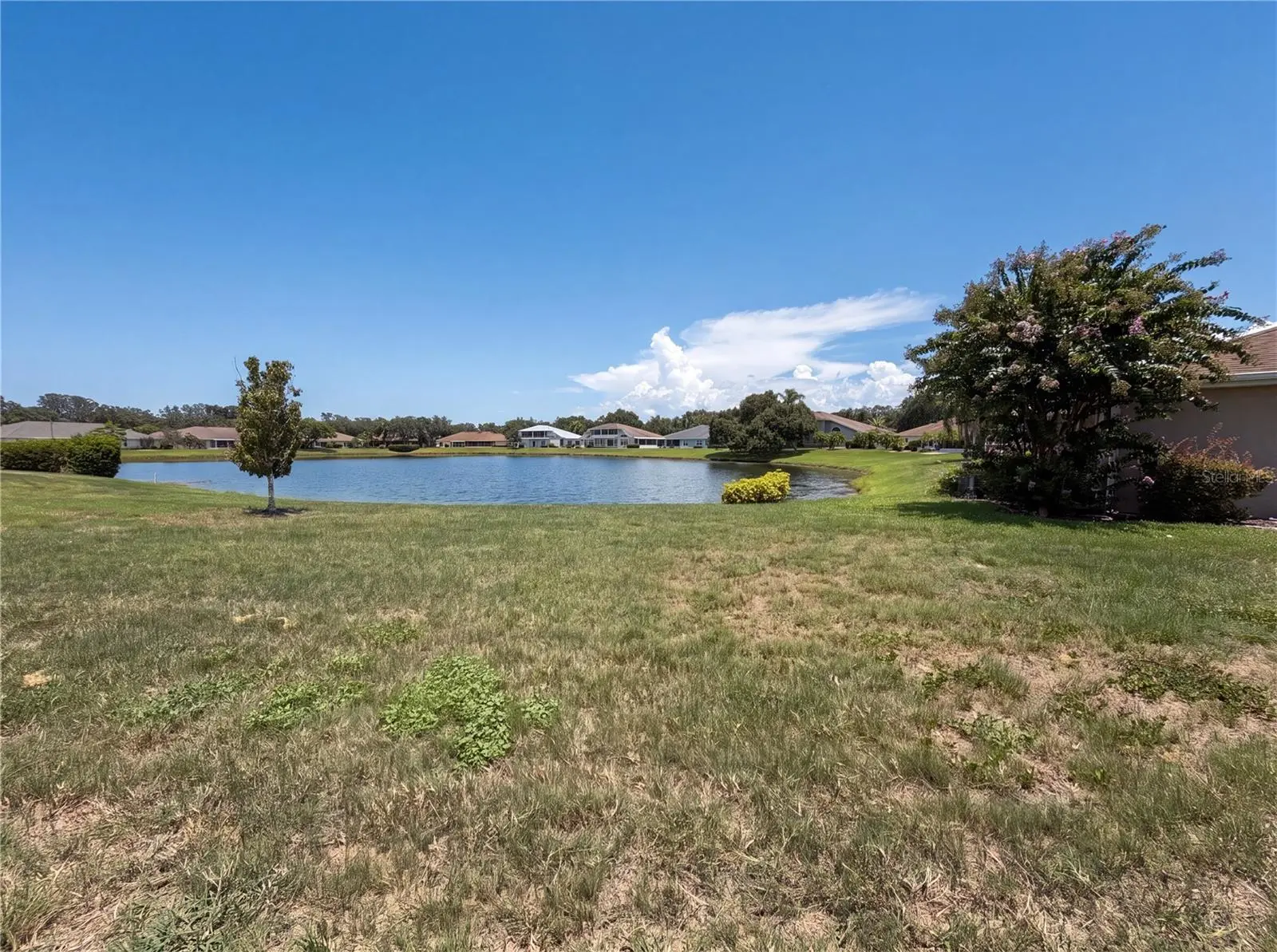 923 Oxford Park Drive, FL
